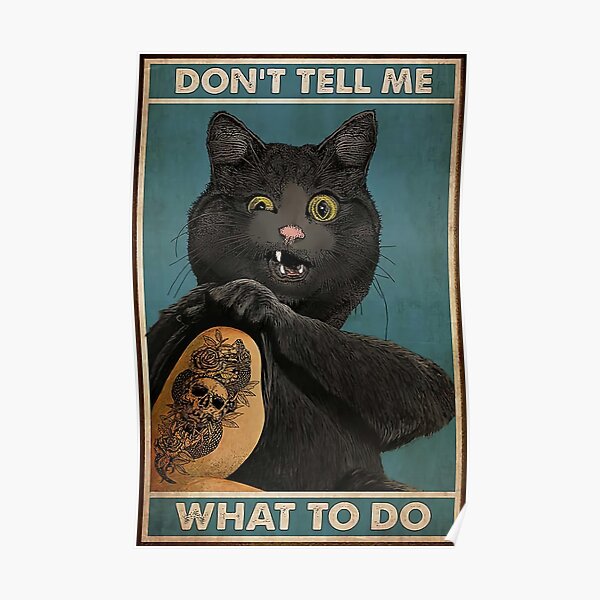 poster katzen tanzen nicht redbubble