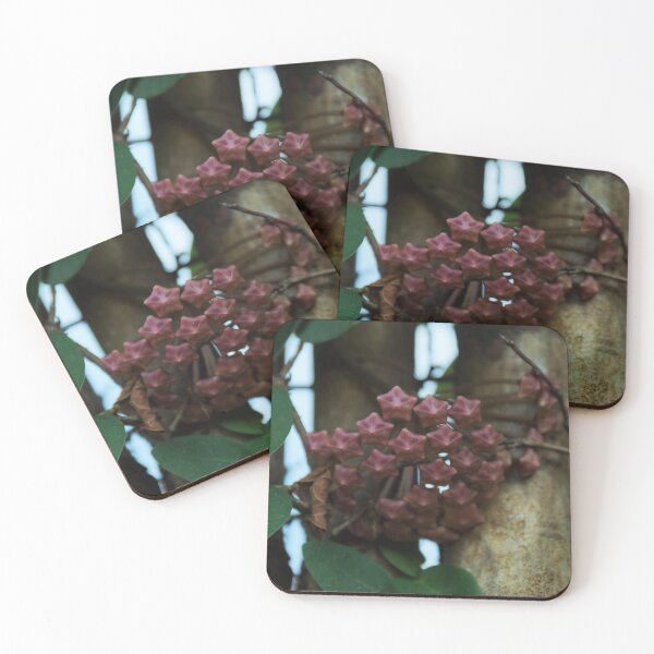 Item preview, Stars designed and sold by AGODIPhoto.