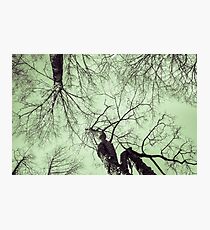 Junctions Photographic Print