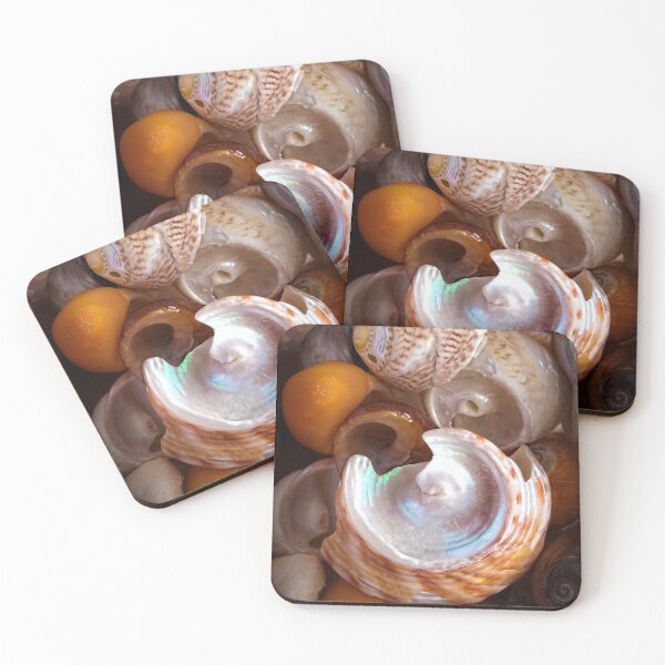 Item preview, Tide Treasure - Orkney shells designed and sold by John Dewar.