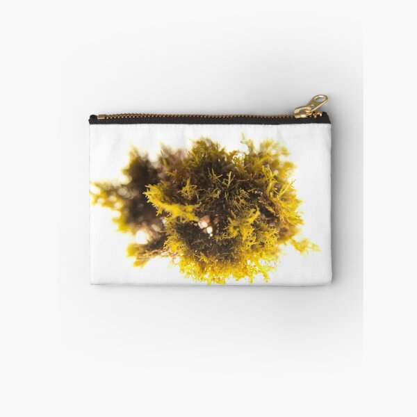 Item preview, Seaweed#1 designed and sold by dPhoto9.
