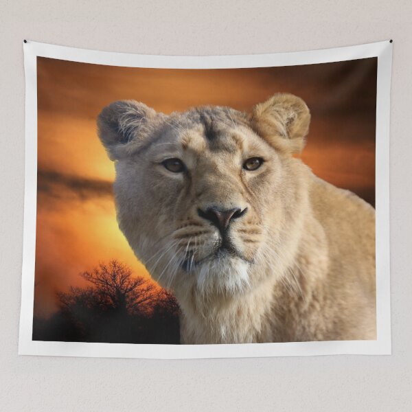 Item preview, A Fabulous Sunset with an adorable Lion Cub designed and sold by Karen Thomson.