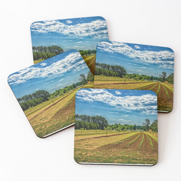 Item preview,  Georgia Young Pecan Tree Orchard designed and sold by GestaltImagery.