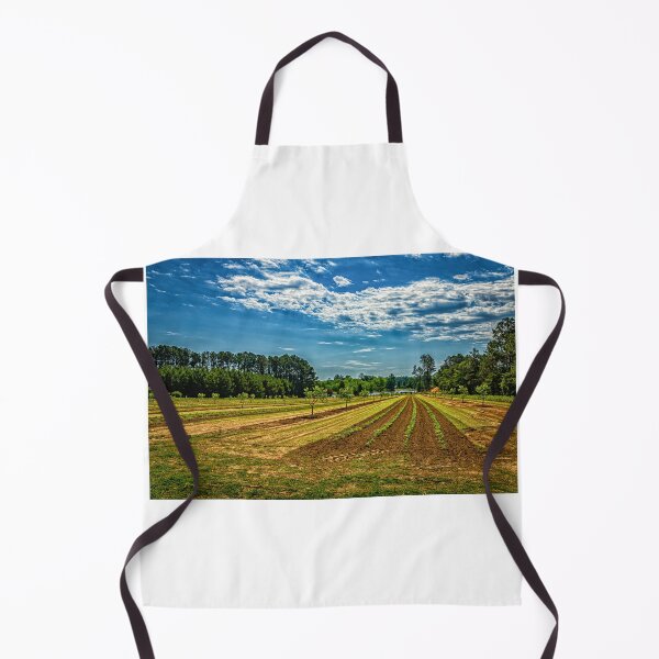 Item preview, Georgia Young Pecan Tree Orchard designed and sold by GestaltImagery.