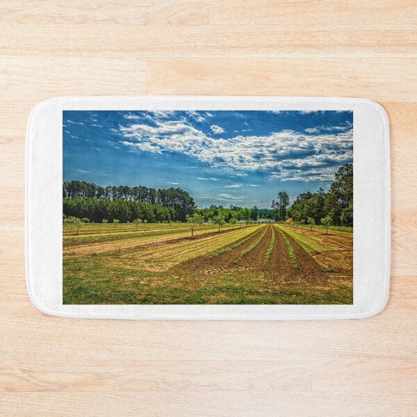 Item preview,  Georgia Young Pecan Tree Orchard designed and sold by GestaltImagery.