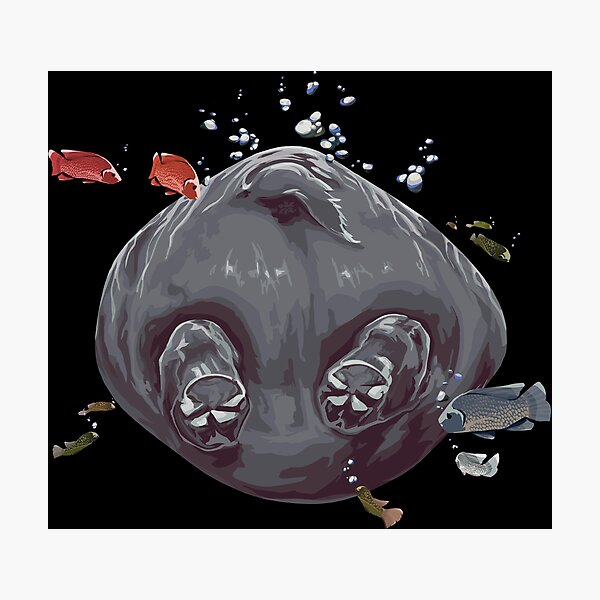 Wandbilder Hippo Meme Redbubble