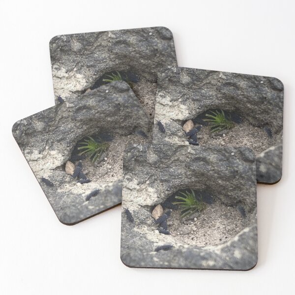 Item preview, HIDDEN PLANT: Sprig With The Springtails designed and sold by Max Kindly.