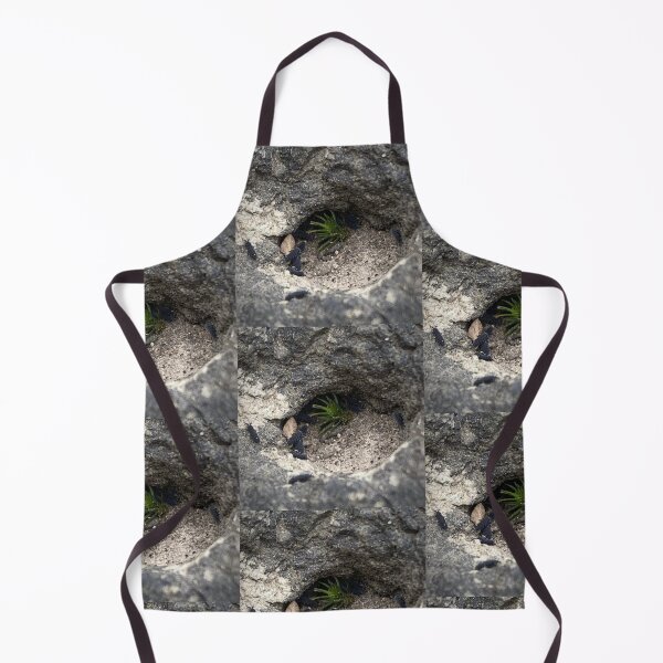 Item preview, HIDDEN PLANT: Sprig With The Springtails designed and sold by Max Kindly.