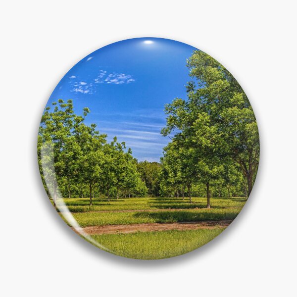 Item preview,  Georgia Young Pecan Tree Orchard designed and sold by GestaltImagery.