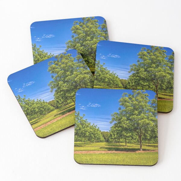 Item preview,  Georgia Young Pecan Tree Orchard designed and sold by GestaltImagery.