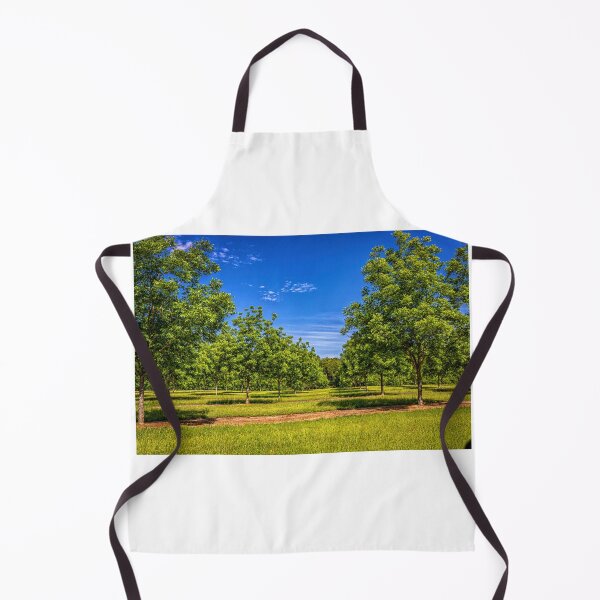 Item preview, Georgia Young Pecan Tree Orchard designed and sold by GestaltImagery.
