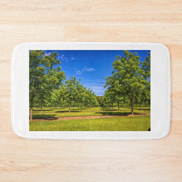 Item preview,  Georgia Young Pecan Tree Orchard designed and sold by GestaltImagery.