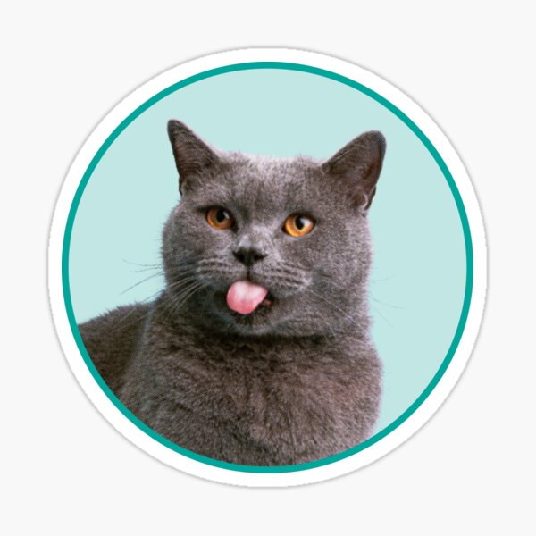 Item preview, Cute British Shorthair Cat Funny British Shorthair Lovers designed and sold by alaechamlal.