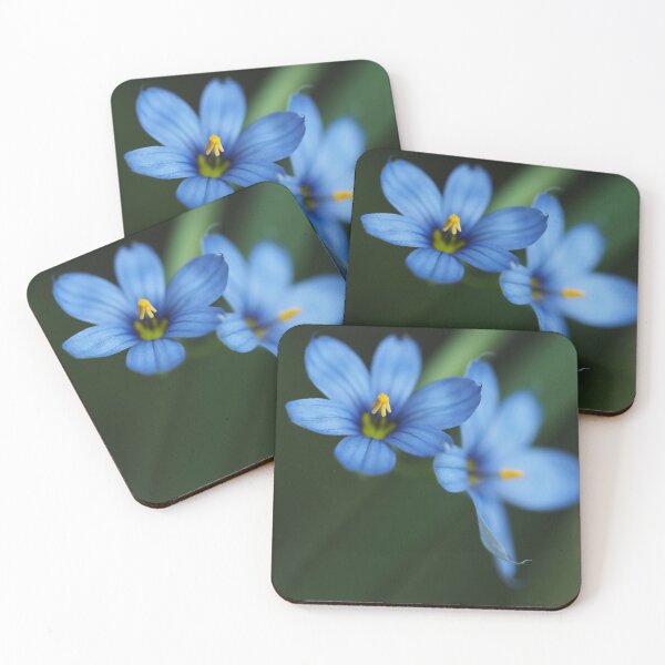 Item preview, Blue-eyed Grass 1 designed and sold by litwphoto.