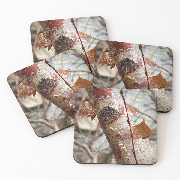 Item preview, BURGUNDY BARK: River Birch designed and sold by Max Kindly.