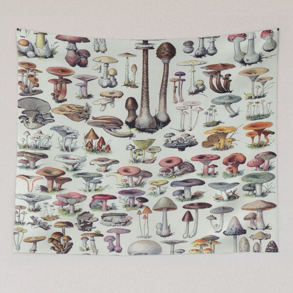 Item preview, Champignons Vintage Illustration 1 - Millot Mushroom Identification 1 designed and sold by molamode.