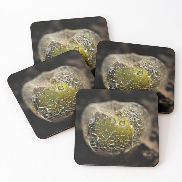 Item preview, Pineapple Ground Cherry designed and sold by StampCity.