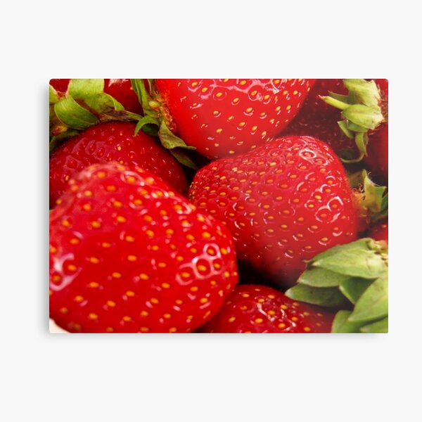 Strawberries! Bolzano/Bozen, Italy Metal Print