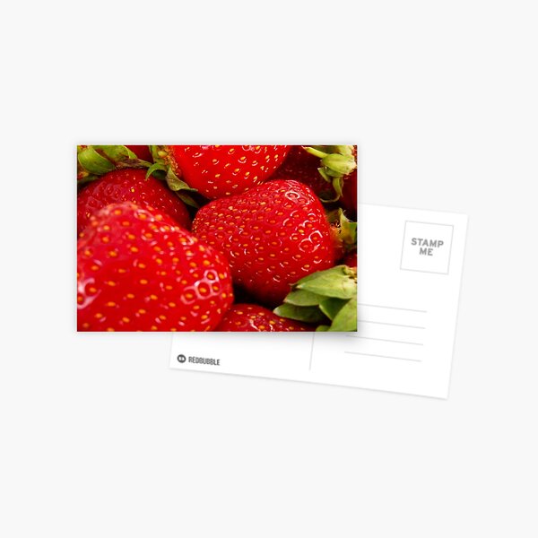 Strawberries! Bolzano/Bozen, Italy Postcard