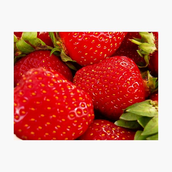 Strawberries! Bolzano/Bozen, Italy Photographic Print