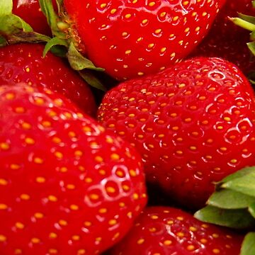 Artwork thumbnail, Strawberries! Bolzano/Bozen, Italy by leemcintyre
