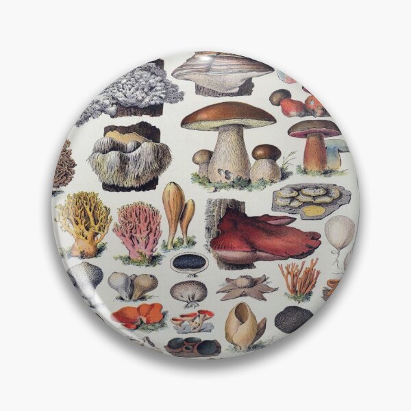 Item preview, Champignon Vintage Illustration 2 - Millot Mushroom Identification 2 designed and sold by molamode.