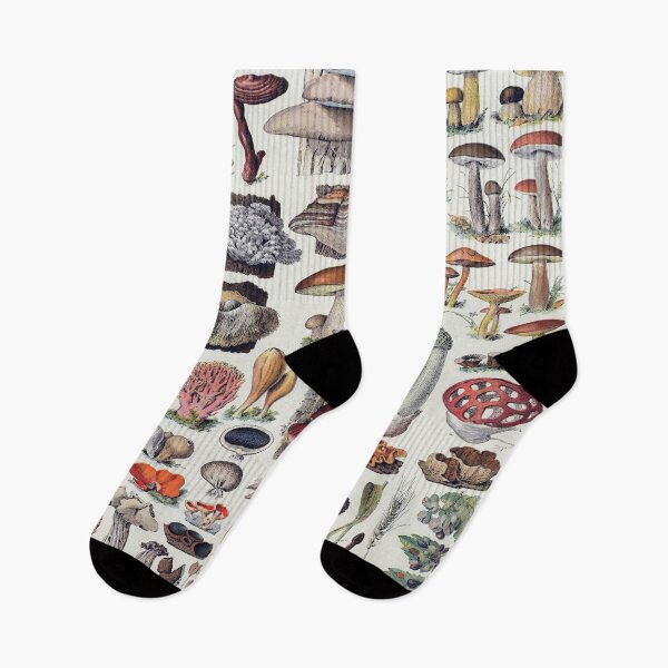Item preview, Champignon Vintage Illustration 2 - Millot Mushroom Identification 2 designed and sold by molamode.