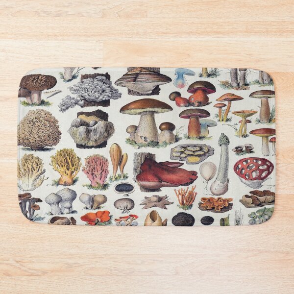 Item preview, Champignon Vintage Illustration 2 - Millot Mushroom Identification 2 designed and sold by molamode.