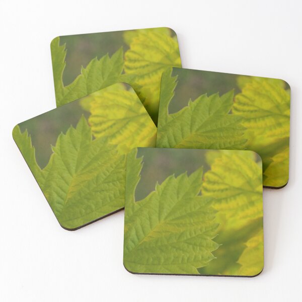 Item preview, Hoppy Time  designed and sold by GFPhotography.