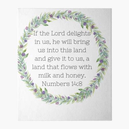 【bible】14点おまとめ Numbers 14:8| If The Lord Delights | Bible Verse