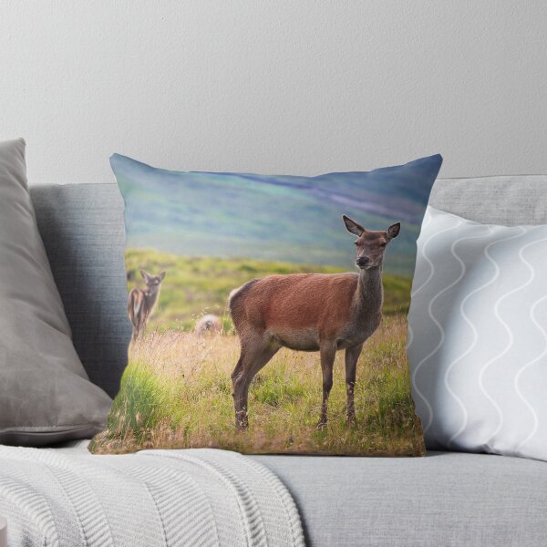 Item preview, Scottish Deer designed and sold by Anna Rosalie Sullivan.