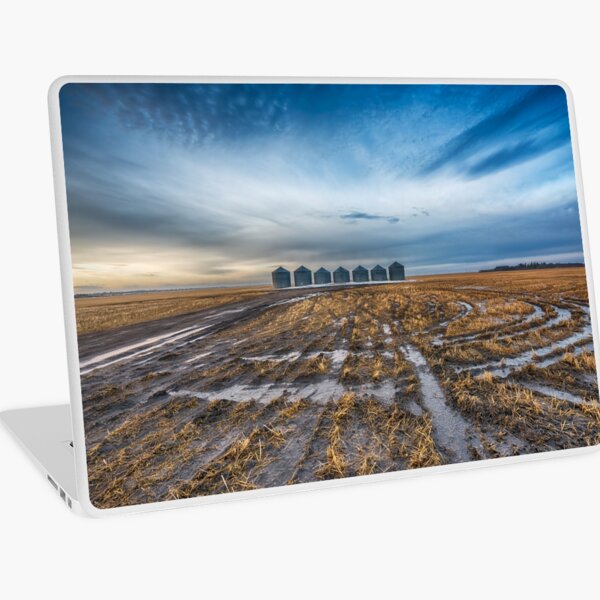 Seven Guardians Laptop Skin