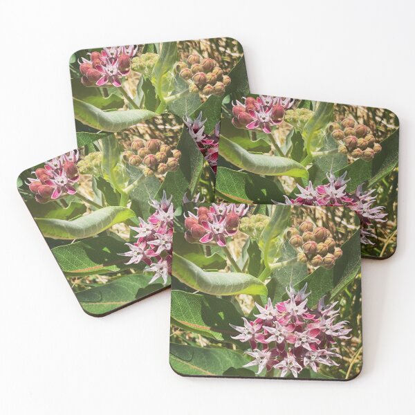 Item preview, milkweed designed and sold by roadwarriorart.
