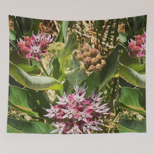Item preview, milkweed designed and sold by roadwarriorart.