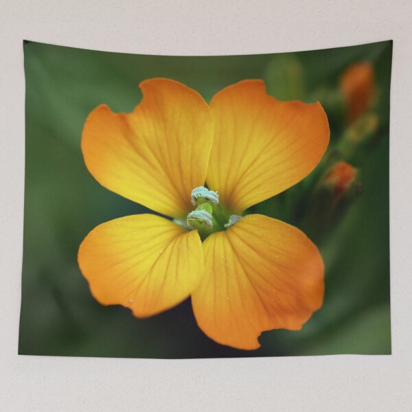 Item preview, Orange Wildflower designed and sold by StampCity.