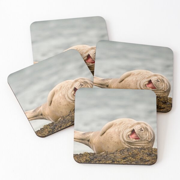 Item preview, Laughing Seal designed and sold by John Dewar.