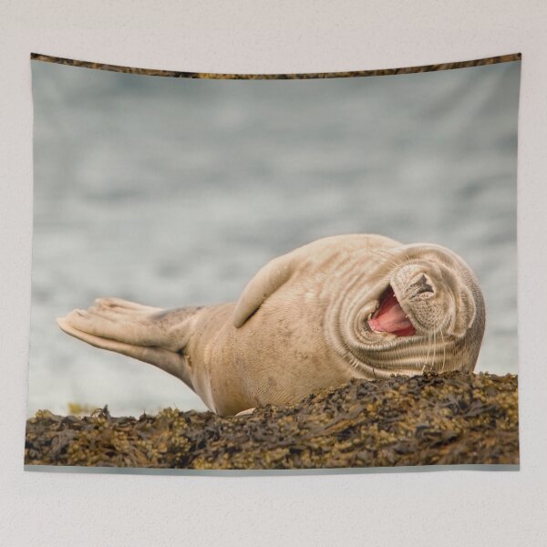 Item preview, Laughing Seal designed and sold by John Dewar.