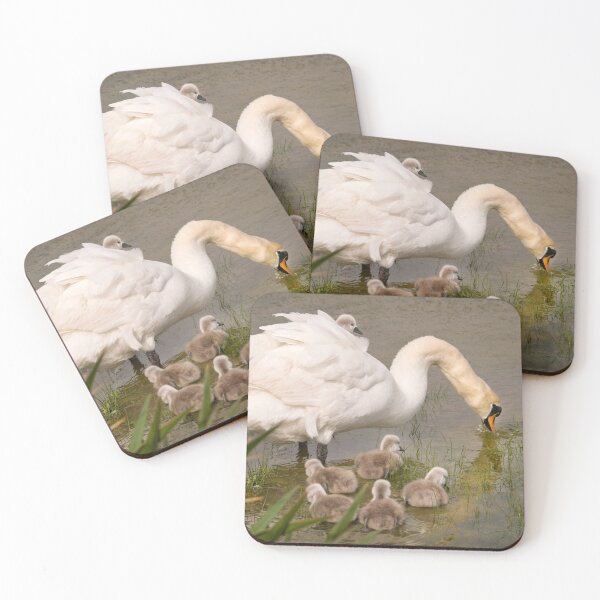 Item preview, White Swan family designed and sold by John Dewar.