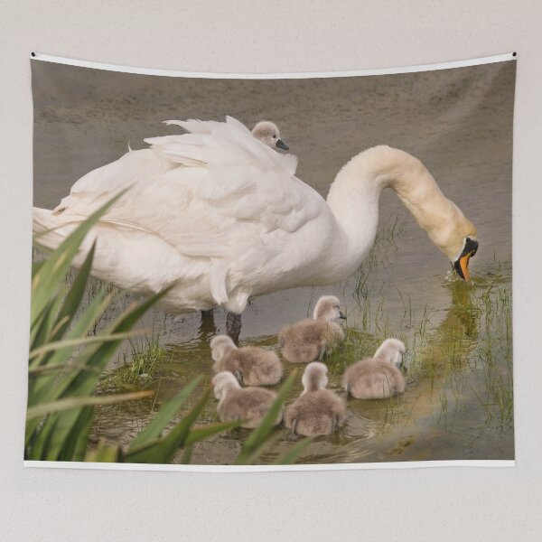 Item preview, White Swan family designed and sold by John Dewar.