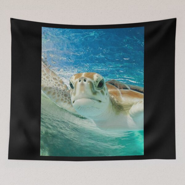 Item preview, Turtle Swimming | Ocean Background designed and sold by LoveGen.