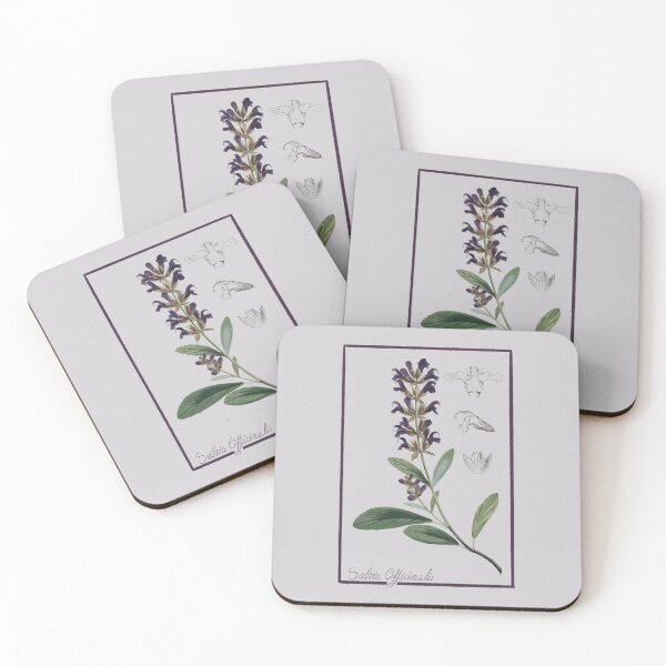 Item preview, Salvia designed and sold by Enami.