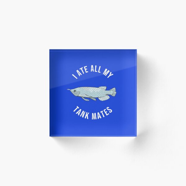 I Ate All My Tank Mates - Funny Arowana Acrylic Block