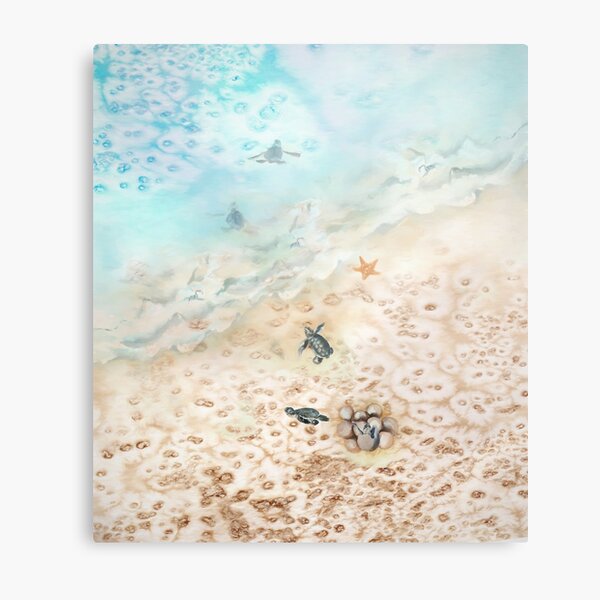 Item preview, Sea Turtle Voyage designed and sold by klephotography.