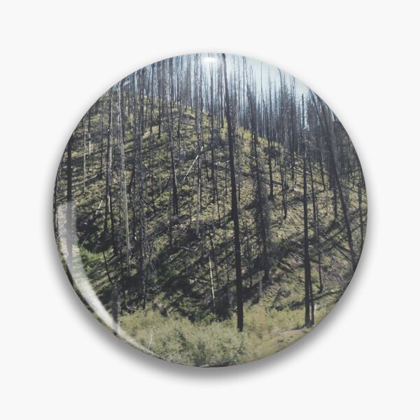 Item preview, Burnt Mountain Forest photo designed and sold by SmolRoze.