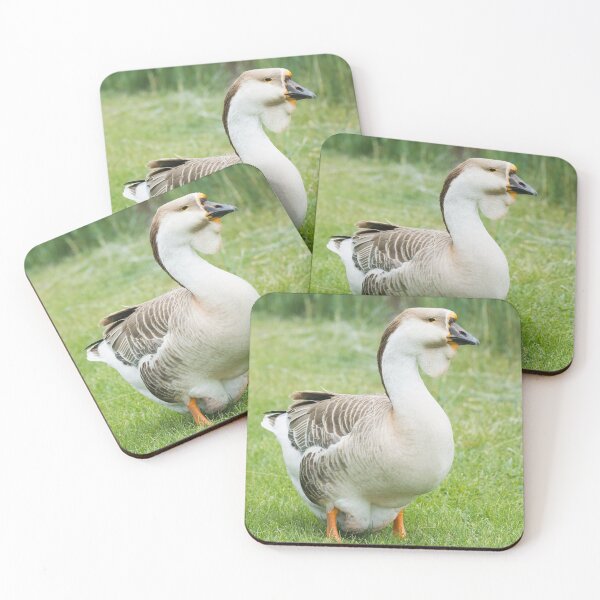 Item preview, African grey goose bird designed and sold by Nikoleta Vukovic.