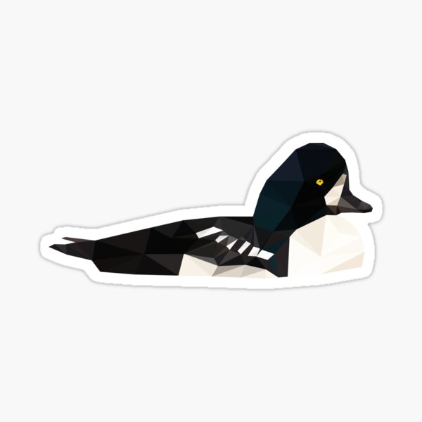 Artikel-Vorschau von Barrow's Goldeneye Low Poly, designt und verkauft von SonOfAJeffer.