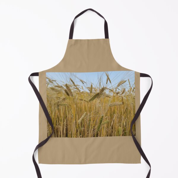 Item preview, View of Ripe barley with head bowed down  in Jeju, Jeju Island.Korea designed and sold by human8891.