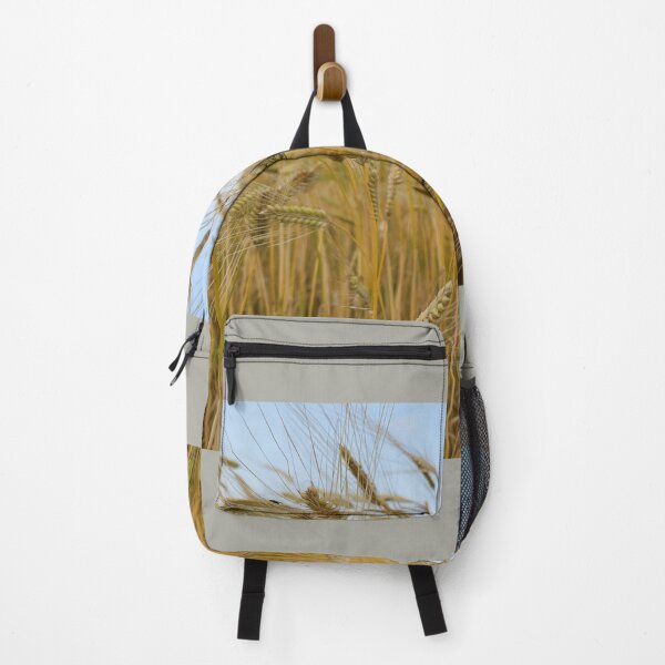 Item preview, View of Ripe barley with head bowed down  in Jeju, Jeju Island.Korea designed and sold by human8891.
