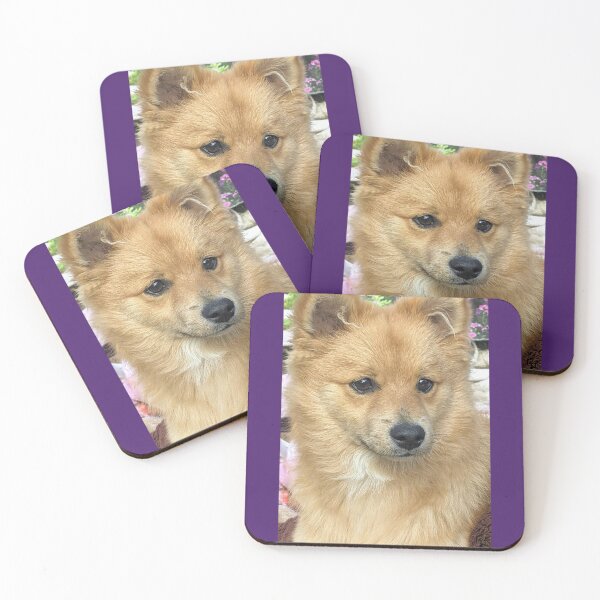 Item preview, Kai the Pomeranian puppy designed and sold by Fluffycat2020.