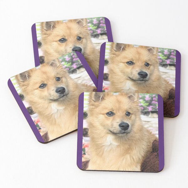Item preview, Kai the Pomeranian puppy designed and sold by Fluffycat2020.